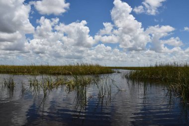 Sawgrass Recreation Park at The Everglades National Park in Fort Lauderdale Florida