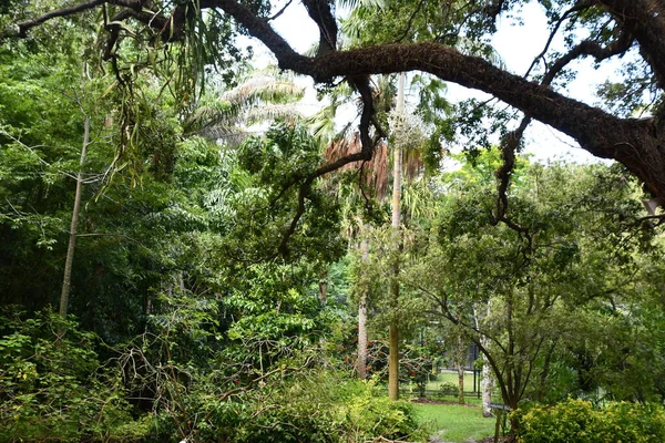 DAVIE FL - AUG 5: Flamingo Gardens in Davie, Florida, as seen on Aug 5, 2022.