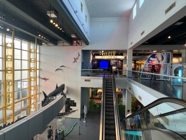 FORT LAUDERDALE FL - AUG 6: Museum of Discovery and Science in Fort Lauderdale, Florida, as seen on Aug 6, 2022.