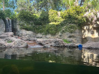 FORT LAUDERDALE FL - AUG 6: Museum of Discovery and Science in Fort Lauderdale, Florida, as seen on Aug 6, 2022.