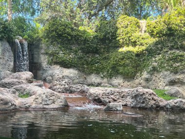 FORT LAUDERDALE FL - AUG 6: Museum of Discovery and Science in Fort Lauderdale, Florida, as seen on Aug 6, 2022.