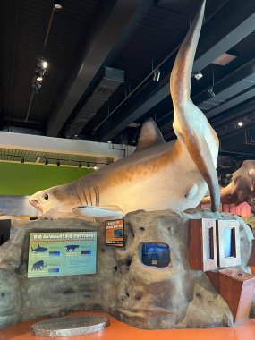 FORT LAUDERDALE FL - AUG 6: Museum of Discovery and Science in Fort Lauderdale, Florida, as seen on Aug 6, 2022.