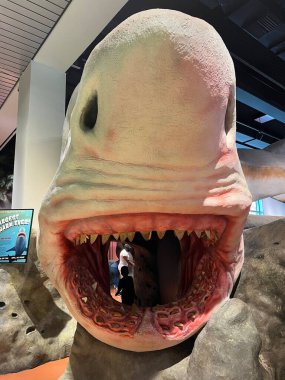 FORT LAUDERDALE FL - AUG 6: Museum of Discovery and Science in Fort Lauderdale, Florida, as seen on Aug 6, 2022.