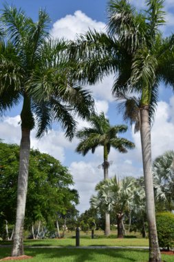 LAUDERHILL FL - AUG 6: Ilene Lieberman Botanical Gardens in Lauderhill, Florida, as seen on Aug 6, 2022.
