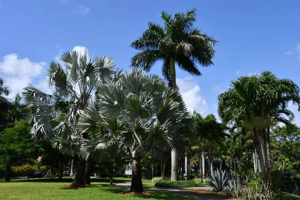 LAUDERHILL FL - AUG 6: Ilene Lieberman Botanical Gardens in Lauderhill, Florida, as seen on Aug 6, 2022.