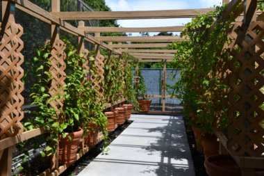 COCONUT CREEK FL - AUG 7: Butterfly World in Coconut Creek, Florida, as seen on Aug 7, 2022.