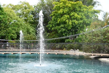 COCONUT CREEK FL - AUG 7: Butterfly World in Coconut Creek, Florida, as seen on Aug 7, 2022.
