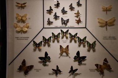 COCONUT CREEK FL - AUG 7: Museum at Butterfly World in Coconut Creek, Florida, as seen on Aug 7, 2022.
