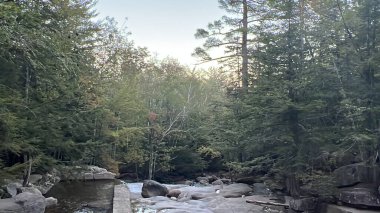 Dianas Baths in Bartlett, New Hampshire USA