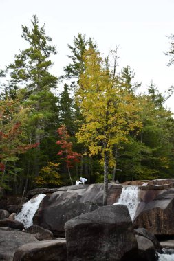 Dianas Baths in Bartlett, New Hampshire USA