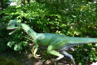 GLEN NH - SEP 24: Rap-Tour Safari, Glen, New Hampshire 'daki Story Land lunaparkında, 24 Eylül 2022' de görüldüğü gibi.