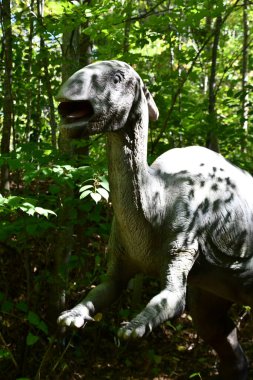 GLEN NH - SEP 24: Rap-Tour Safari, Glen, New Hampshire 'daki Story Land lunaparkında, 24 Eylül 2022' de görüldüğü gibi.