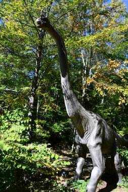 GLEN NH - SEP 24: Rap-Tour Safari, Glen, New Hampshire 'daki Story Land lunaparkında, 24 Eylül 2022' de görüldüğü gibi.