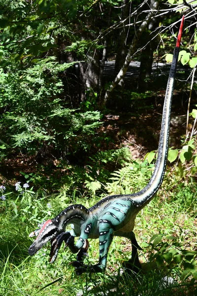 GLEN NH - SEP 24: Rap-Tour Safari, Glen, New Hampshire 'daki Story Land lunaparkında, 24 Eylül 2022' de görüldüğü gibi.