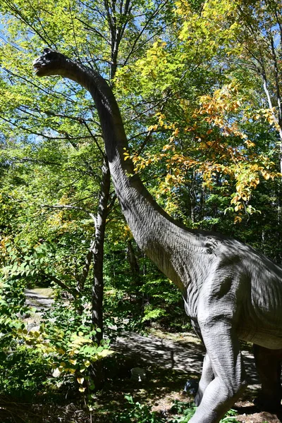 GLEN NH - SEP 24: Rap-Tour Safari, Glen, New Hampshire 'daki Story Land lunaparkında, 24 Eylül 2022' de görüldüğü gibi.