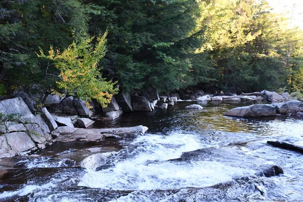 Jackson Falls Jackson New Hampshire — Stock fotografie