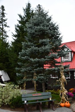 JEFFERSON NH - 25 Temmuz 2022 'de Jefferson, New Hampshire' da görülen Noel Baba Köyü eğlence parkı.