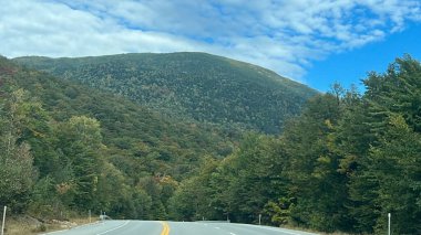 Beyaz dağ Ulusal ormanında New Hampshire