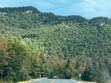 Beyaz dağ Ulusal ormanında New Hampshire