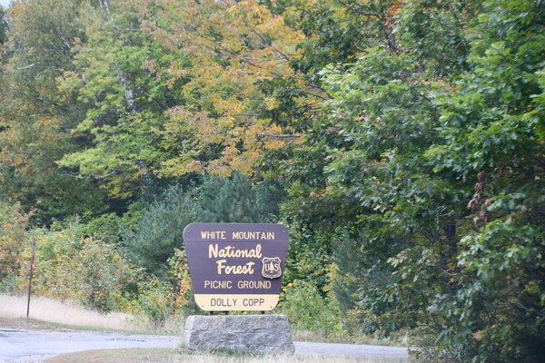 Белый горный национальный лес в Нью-Гэмпшире
