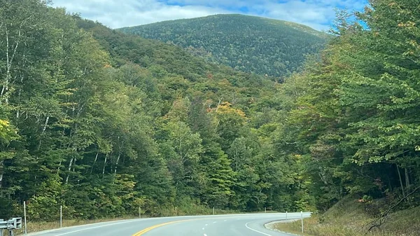 Forêt Nationale Montagne Blanche Dans New Hampshire — Photo