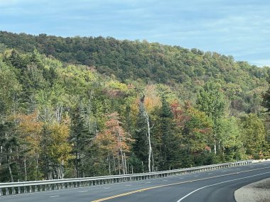Beyaz dağ Ulusal ormanında New Hampshire
