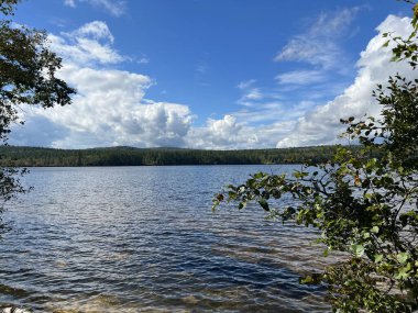 New Hampshire 'da bir göl manzarası