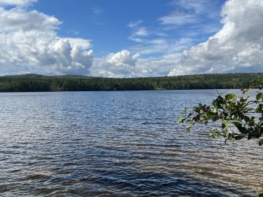 New Hampshire 'da bir göl manzarası