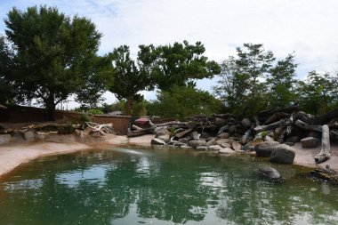 ALBUQUERQUE, NM - JUL 25: ABQ BioPark Zoo in Albuquerque, New Mexico, as seen on July 25, 2021.