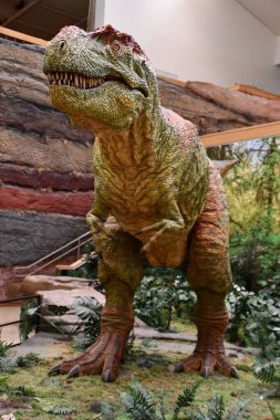 ALBUQUERQUE NM - 24 Temmuz 2021 'de New Mexico Doğal Tarih ve Bilim Müzesi Albuquerque, New Mexico' da görüldü..