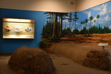 ALBUQUERQUE NM - 24 Temmuz 2021 'de New Mexico Doğal Tarih ve Bilim Müzesi Albuquerque, New Mexico' da görüldü..