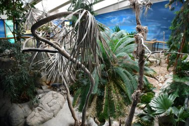 ALBUQUERQUE NM - 24 Temmuz 2021 'de New Mexico Doğal Tarih ve Bilim Müzesi Albuquerque, New Mexico' da görüldü..