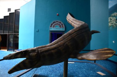 ALBUQUERQUE NM - 24 Temmuz 2021 'de New Mexico Doğal Tarih ve Bilim Müzesi Albuquerque, New Mexico' da görüldü..