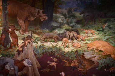 ALBUQUERQUE NM - 24 Temmuz 2021 'de New Mexico Doğal Tarih ve Bilim Müzesi Albuquerque, New Mexico' da görüldü..