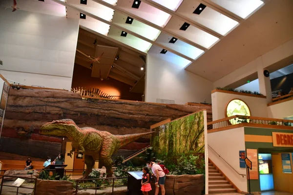 Albuquerque Jul New Mexico Museum Natural History Science Albuquerque New — Stockfoto