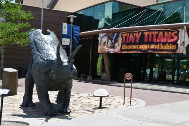 ALBUQUERQUE NM - 24 Temmuz 2021 'de New Mexico Doğal Tarih ve Bilim Müzesi Albuquerque, New Mexico' da görüldü..