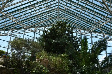 ALBUQUERQUE, NM - JUL 25: ABQ BioPark Botanic Garden in Albuquerque, New Mexico, as seen on July 25, 2021.