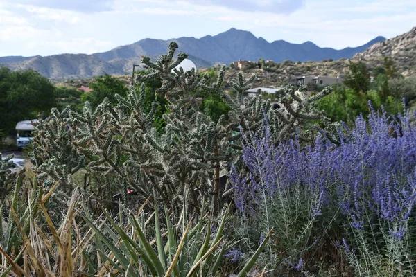 Albuquerque Jul 新墨西哥州阿尔伯克尔克的桑迪亚山顶缆车 2021年7月24日看到 — 图库照片