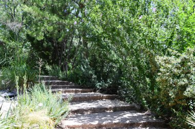 ALBUQUERQUE, NM - JUL 25: ABQ BioPark Botanic Garden in Albuquerque, New Mexico, as seen on July 25, 2021.