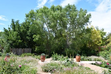 ALBUQUERQUE, NM - JUL 25: ABQ BioPark Botanic Garden in Albuquerque, New Mexico, as seen on July 25, 2021.