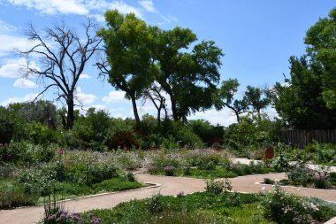 ALBUQUERQUE, NM - JUL 25: ABQ BioPark Botanic Garden in Albuquerque, New Mexico, as seen on July 25, 2021.