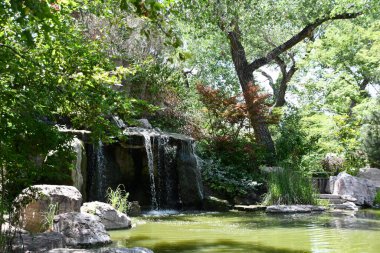 ALBUQUERQUE, NM - JUL 25: Japanese Garden at ABQ BioPark Botanic Garden in Albuquerque, New Mexico, as seen on July 25, 2021.