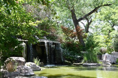 ALBUQUERQUE, NM - JUL 25: Japanese Garden at ABQ BioPark Botanic Garden in Albuquerque, New Mexico, as seen on July 25, 2021. clipart