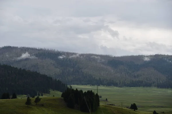 Valles Caldera Nationalreservat Jemez Springs New Mexico — Stockfoto