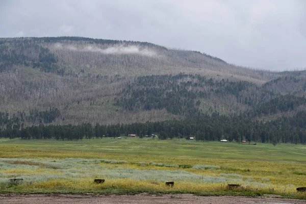 Valles Caldera National Preserve Jemez Springs Nuovo Messico — Foto Stock