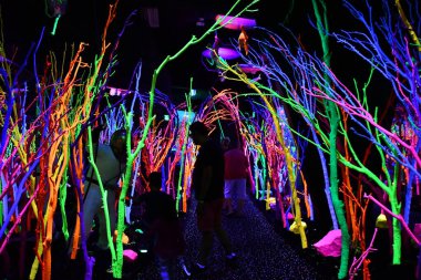 SANTA FE, NM - JUL 26: Meow Wolf House of Eternal Return in Santa Fe, New Mexico, as seen on July 26, 2021.