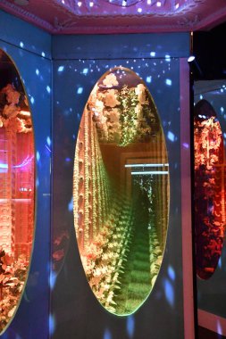 SANTA FE, NM - JUL 26: Meow Wolf House of Eternal Return in Santa Fe, New Mexico, as seen on July 26, 2021.