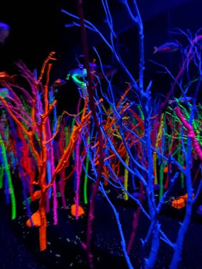 SANTA FE, NM - JUL 26: Meow Wolf House of Eternal Return in Santa Fe, New Mexico, as seen on July 26, 2021.