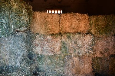 Santa Fe, New Mexico 'daki El Rancho De Las Golondrinas, 28 Temmuz 2021' de görüldü. Yaşayan bir tarih müzesi, stratejik olarak bir zamanlar Camino Real 'de yer alan, Mexico City' den Santa Fe 'ye kadar uzanan Kraliyet Yolu' nda..  