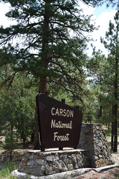 Taos Jul Carson National Forest Pobliżu Taos Nowym Meksyku Usa — Zdjęcie stockowe